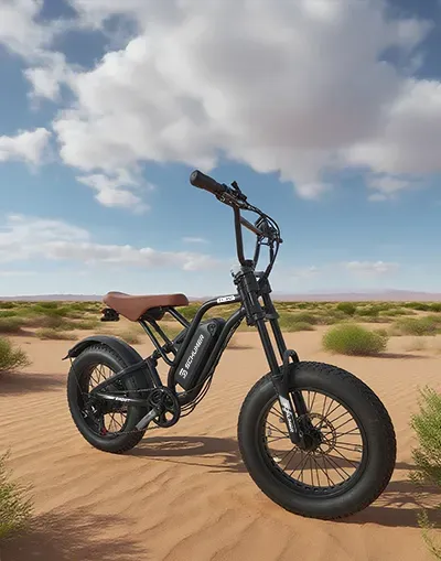 E-Fat Tire Bike